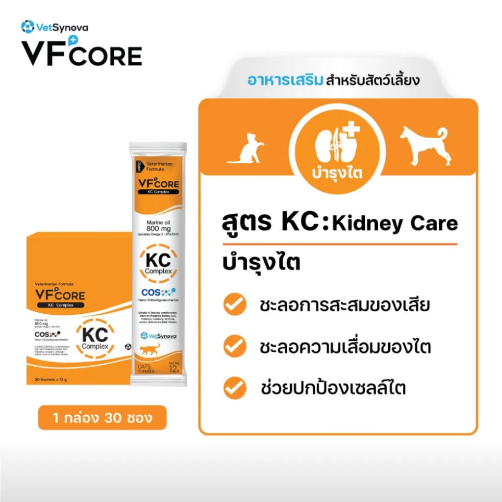 VF+core สูตรใหม่! วีเอฟคอร์ อาหารเสริม ในรูปแบบขนมแมวเลีย รูปที่ 5