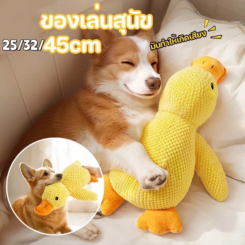 ของเล่นสุนัข ของเล่นแมว ตุ๊กตาเป็ดที่มีเสียงในตัว ของเล่นแบบโต้ตอบ CW71 รูปที่ 5
