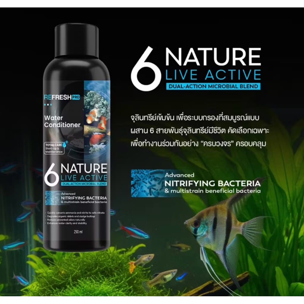 จุลินทรีย์น้ำใส บ่อปลา ตู้ปลา แบบน้ำและผง รูปที่ 8