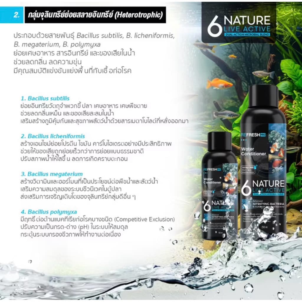 จุลินทรีย์น้ำใส บ่อปลา ตู้ปลา แบบน้ำและผง รูปที่ 7