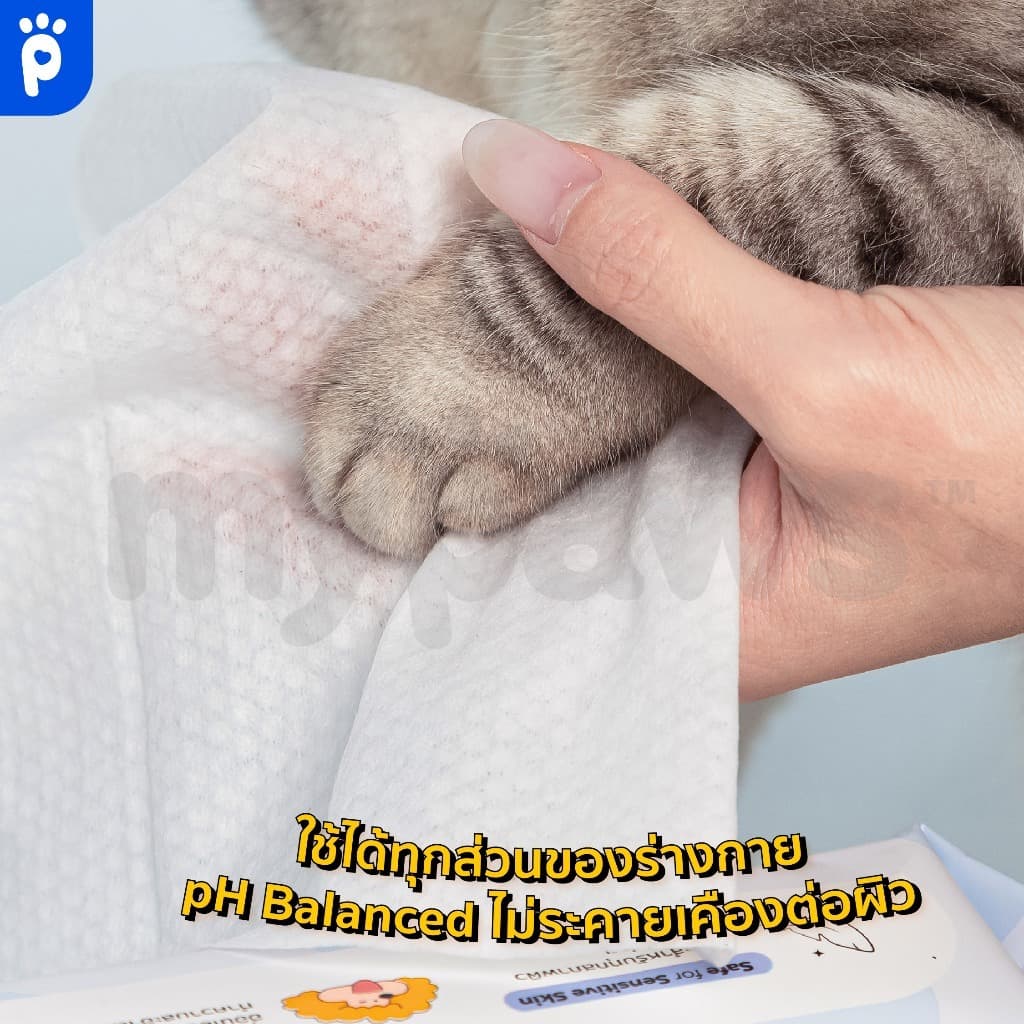 My Paws ผ้าเปียก ทิชชู่เปียก เช็ดตัวสัตว์เลี้ยง ถุงมืออาบน้ำแห้ง Pet Wipe / Glove Wipe รูปที่ 5