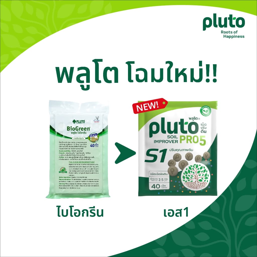 พลูโต โปรไฟว์ เอส1 ขนาด 2.5 กรัม 200 เม็ด รูปที่ 2