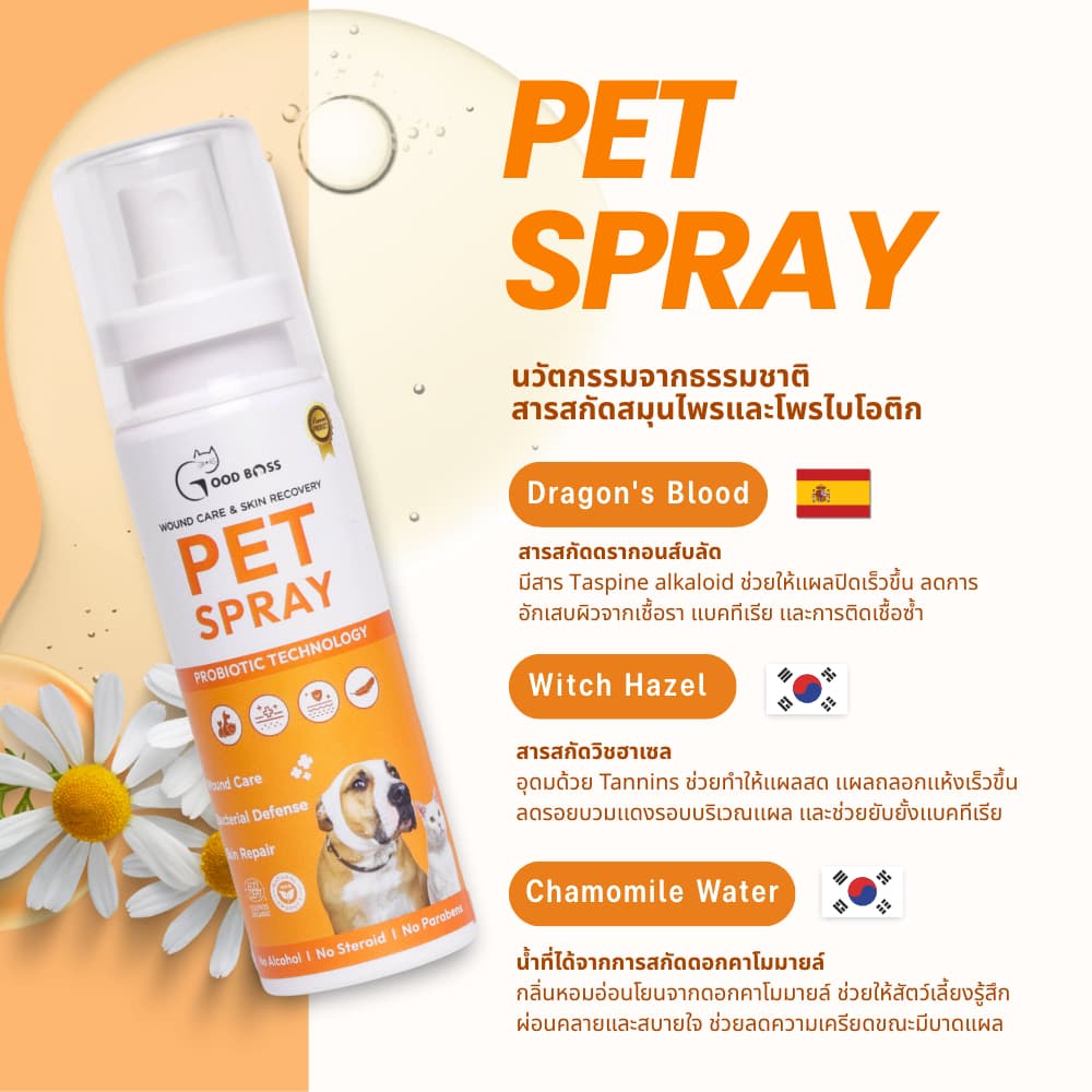 Goodboss Pet Spray สเปรย์สมานเเผลสำหรับสัตว์เลี้ยง ช่วยให้เเผลเเห้งเร็ว ผลิตภัณฑ์ออแกนิค รูปที่ 8