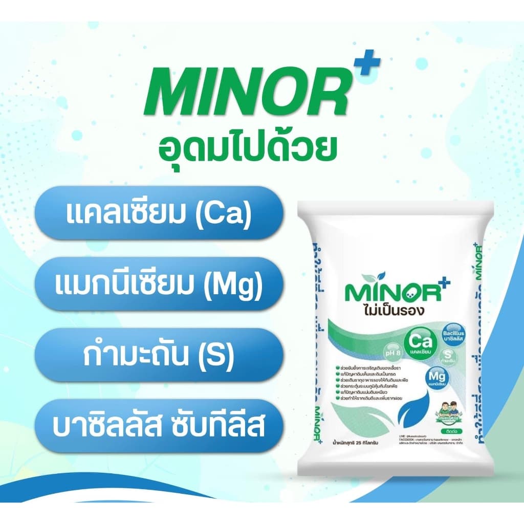 ไมเนอร์+ ไม่เป็นรอง Minor ธาตุอาหารรอง ปรับค่า ph สามารถป้องกันโรคได้ สั่งครั้งละ1กระสอบเท่านั้น รูปที่ 2