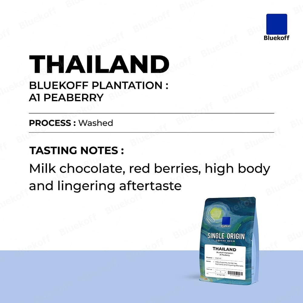 Bluekoff Plantation: A1 Peaberry เมล็ดกาแฟไทย อราบิก้า 100% Arabica 100% รูปที่ 2