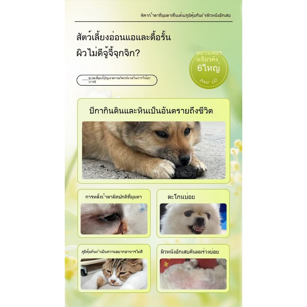 KetzuzuPet อาหารเสริมสำ วิตามิน 14g รูปที่ 7