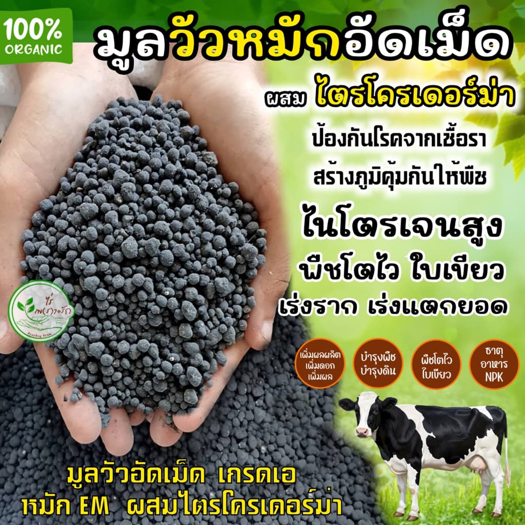 มูลวัวอัดเม็ด ขี้วัวอัดเม็ด เกรดA ละลายไว กระสอบ 20 กิโล หมัก EM ไร้กลิ่น คุณภาพสูง ** ผสมไตรโครเดอร์ม่าช่วยลดโรคพืช ** รูปที่ 3