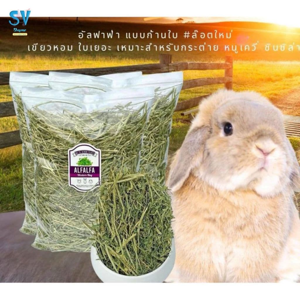 หญ้าอัลฟาฟ่าก้าน และ alfalfa chopped หญ้าอัลฟาฟ่าสับ 1 กก.เขียวหอมมาก มายล รูปที่ 3