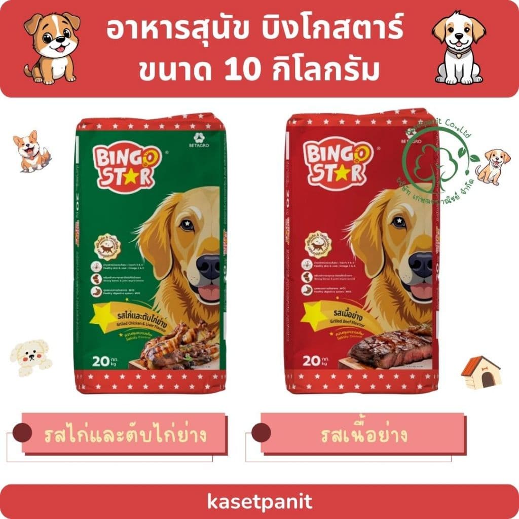 บิงโกสตาร์ สุนัขโต 3 mix และรวมรส โฉมใหม่ รูปที่ 1