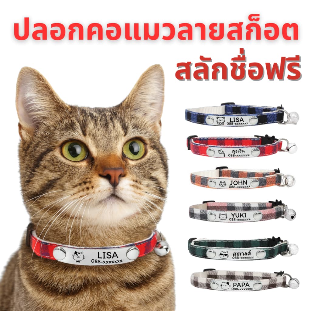 ปลอกคอแมว ลายสก๊อต ปลอกคอนิรภัยแมวสลักชื่อ เบอร์โทรฟรี รูปที่ 1