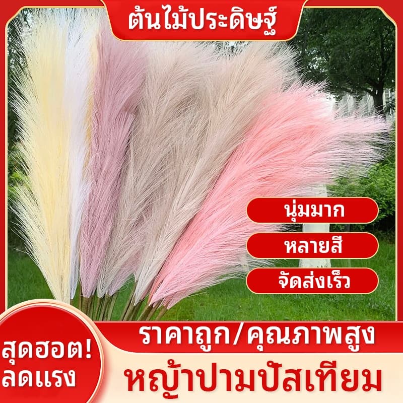 12 ชิ้น ช่อหญ้าปลอม หญ้าแพมพาส หญ้าเทียม ต้นหญ้าแห้ง หญ้าคา ช่อหญ้าสี ดอกเลา ดอกไม้ปลอมpampas คริสต์มาส ตกแต่งบ้าน รูปที่ 1