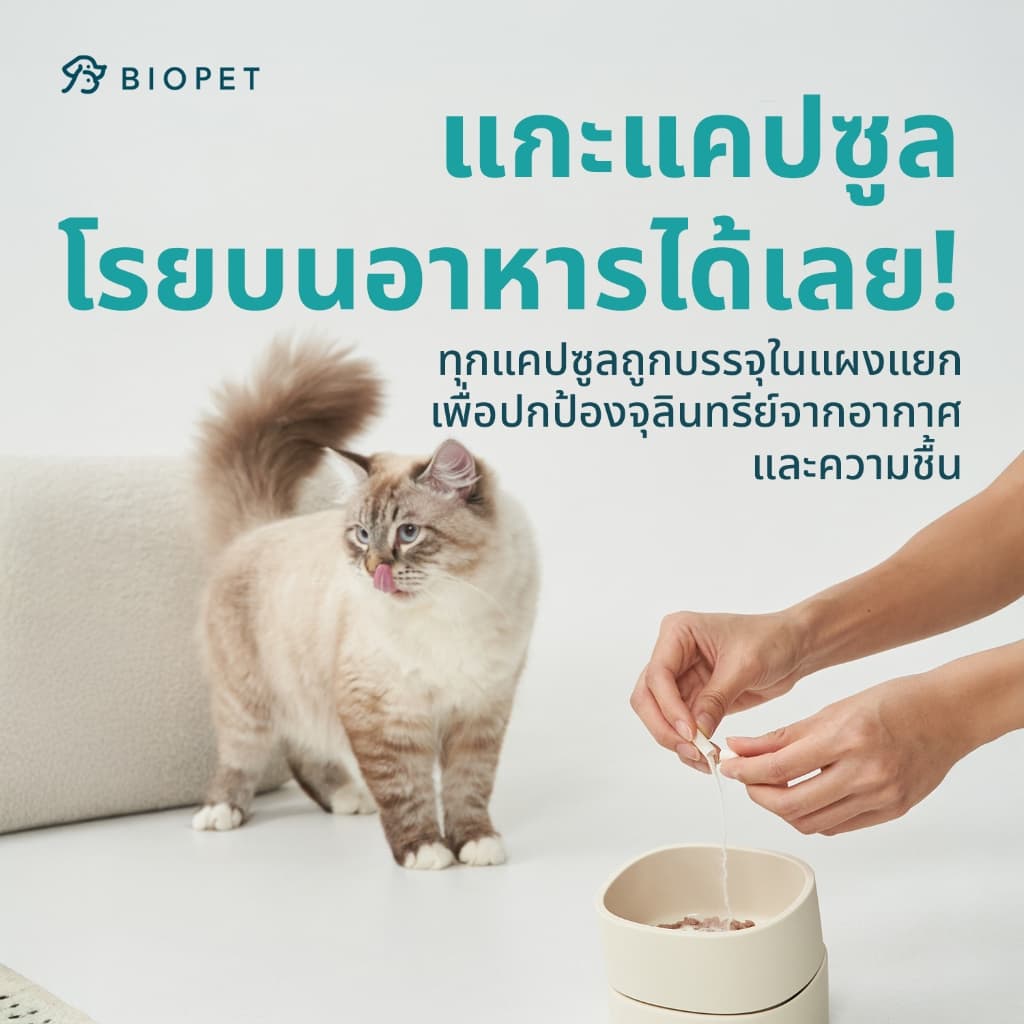 PetFlow โพรไบโอติกของสัตว์เลี้ยง สูตรดูแลระบบขับถ่าย Medical Grade Probiotic รูปที่ 4