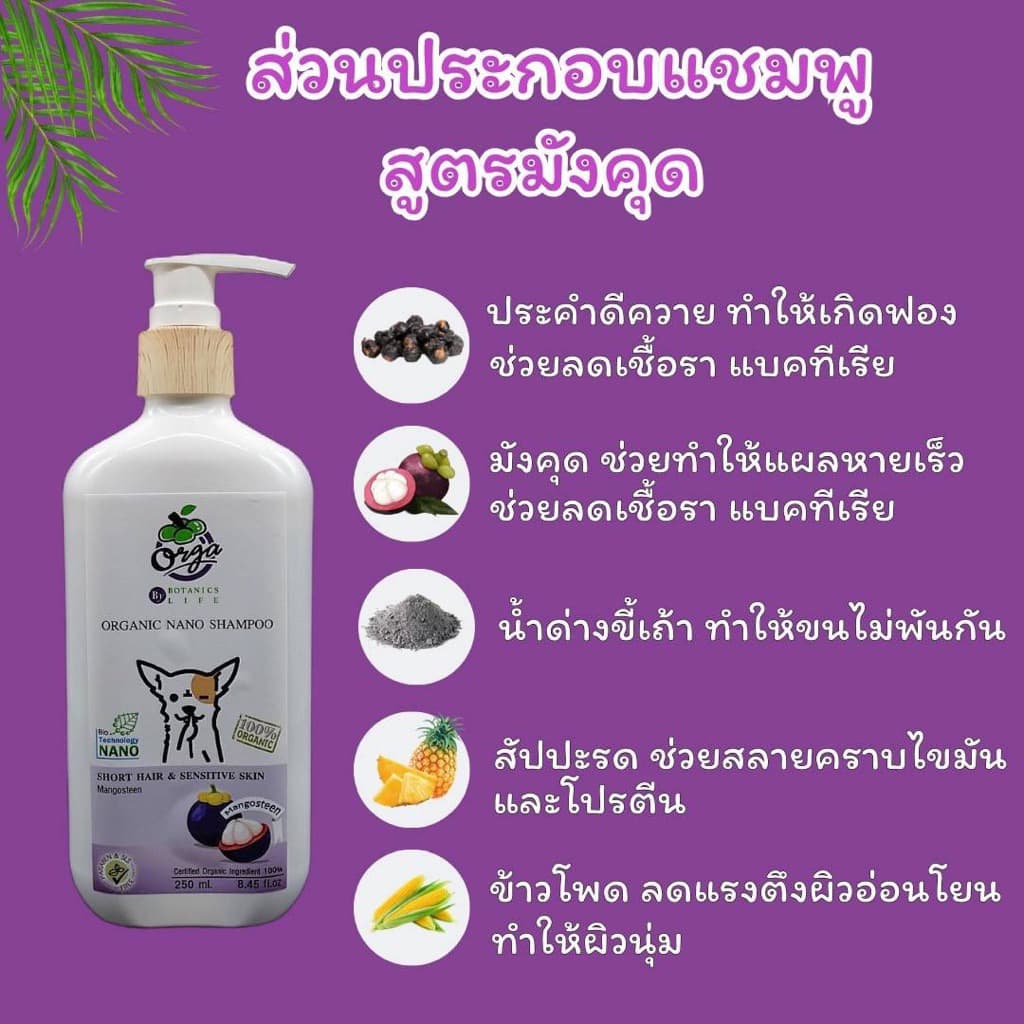 ชุดหยุดขี้เรื้อนหมาแมว เรื้อนเปียกเรื้อนแห้งเชื้อรายีสต์ เซ็ทคู่สุดคุ้ม มังคุด250ml.+สเปรย์200ml. รูปที่ 3