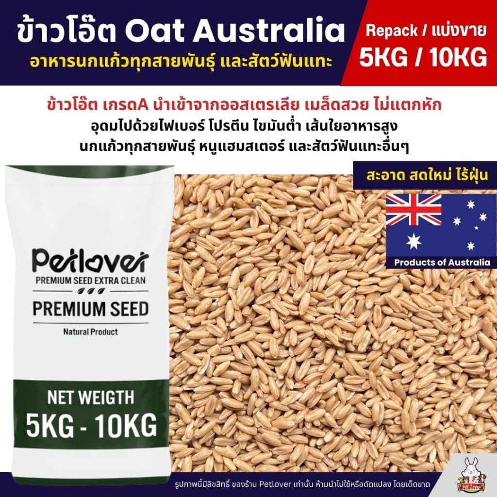 ข้าวโอ๊ต Oat Australia เกรด A ข้าวโอ็ต อาหารนกแก้ว และสัตว์ฟันแทะ สะอาด ร่อนฝุ่นทุกถุง รูปที่ 1