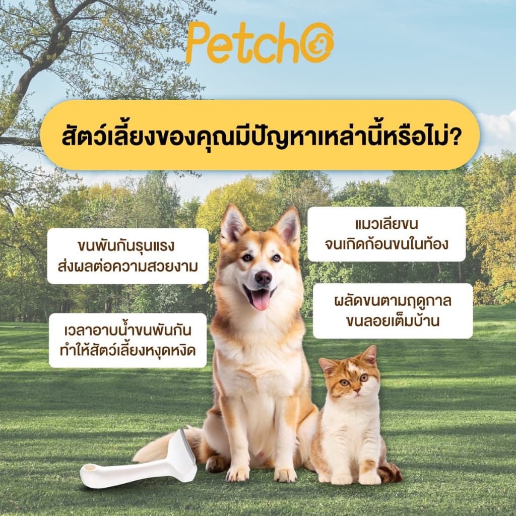 Petcho หวีแปรงขนสัตว์เลี้ยง หวีแมว หวีสุนัข กำจัดขนหลุดร่วงอย่างมีประสิทธิภาพ ซี่หวีปลอดภัย รูปที่ 2