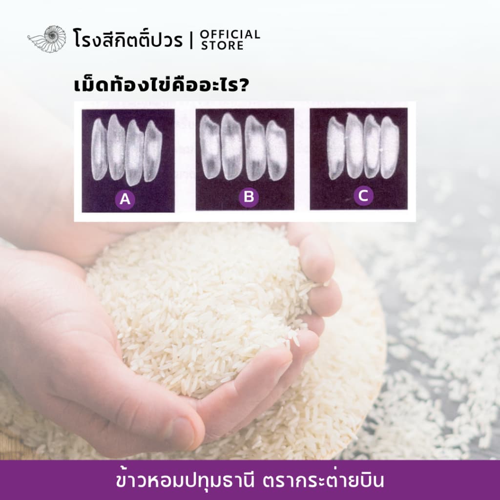 ข้าวหอมปทุมธานี เม็ดท้องไข่ กระต่ายบิน ม่วง ข้าวใหม่! นาปรัง หอม นุ่มนิ่ม ฟูขึ้นหม้อ ราคาย่อมเยาว์ รูปที่ 4