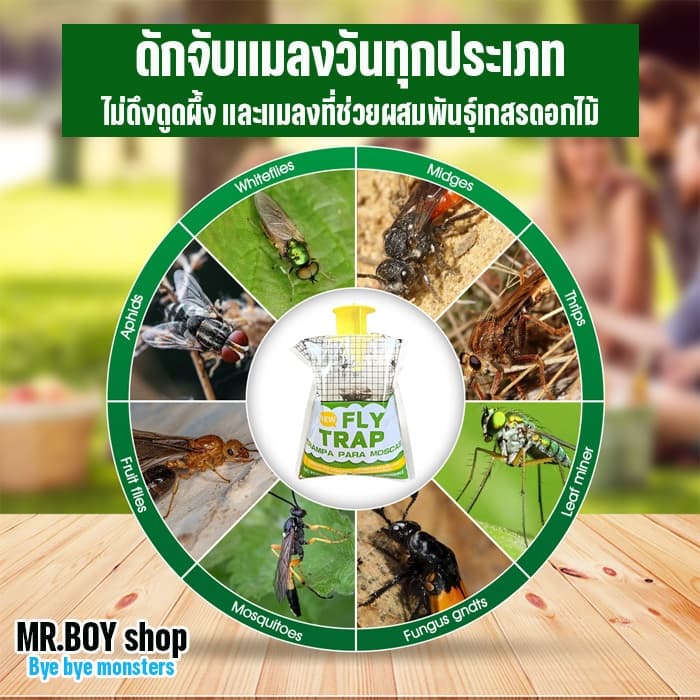 กับดักแมลงวัน แมลงหวี่ แมลงต่างๆ แบบใช้แล้วทิ้ง ปลอดสารเคมี สะดวก ใช้ง่าย ฟรีเหยื่อ 1 ชุด รูปที่ 2