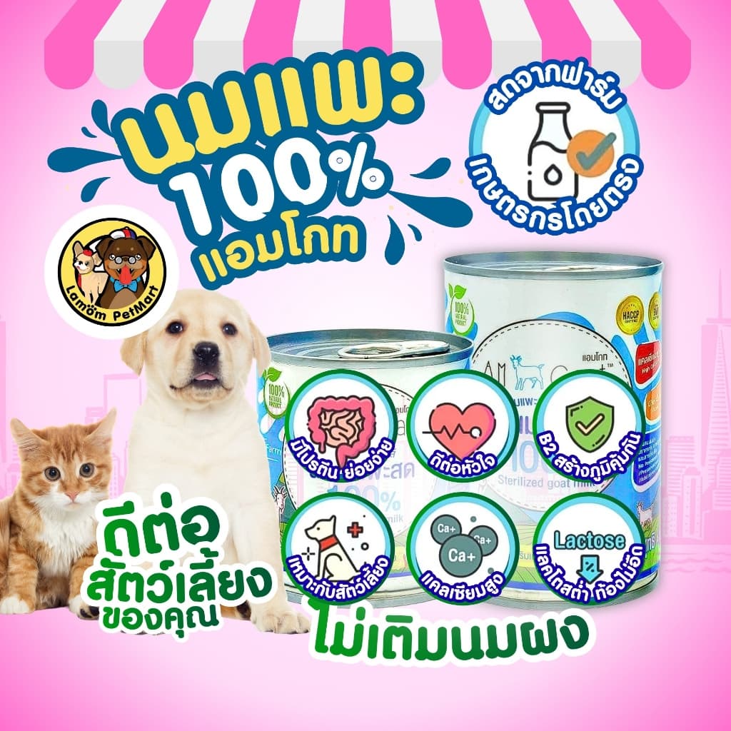 นมแพะ 100% แอมโกท สำหรับสัตว์เลี้ยง ไม่ผสมนมผง ย่อยง่า ดูดซึมเร็ว วิตามินครบถ้วน รูปที่ 4