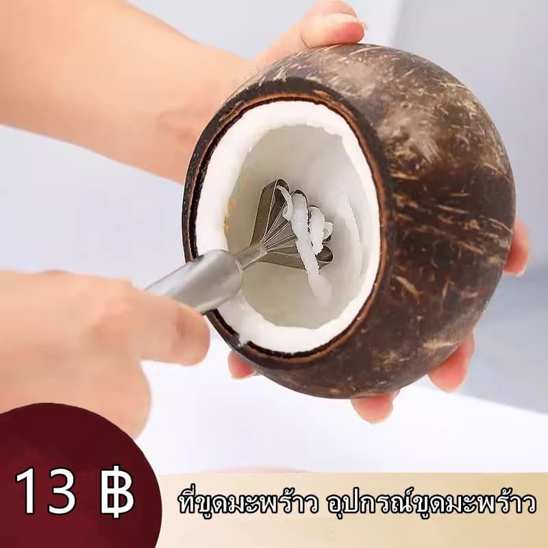 ที่ขูดมะพร้าว อุปกรณ์ขูดมะพร้าว เกล็ดปลา วัสดุสแตนเลส รูปที่ 2