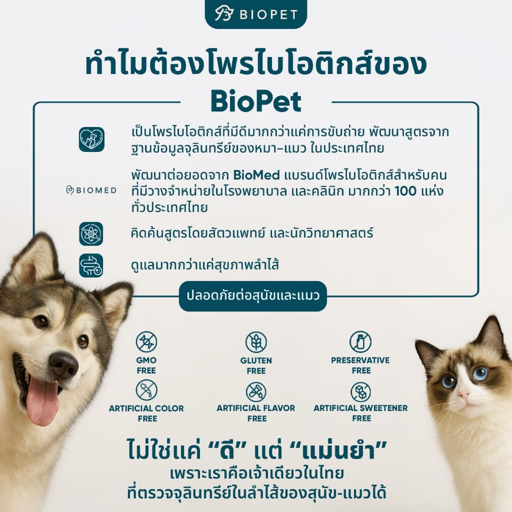 PetFlow โพรไบโอติกของสัตว์เลี้ยง สูตรดูแลระบบขับถ่าย Medical Grade Probiotic รูปที่ 3