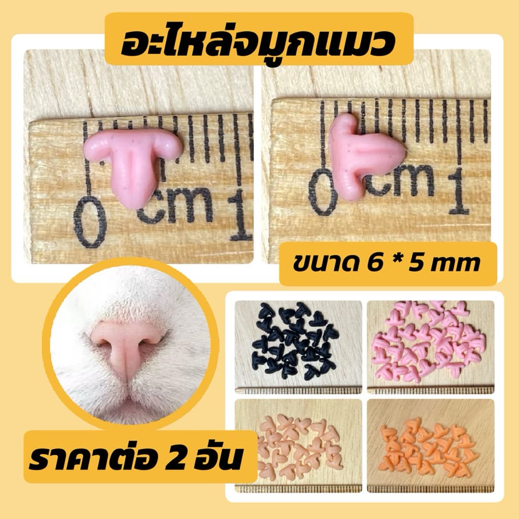 อะไหล่จมูกแมว ขนาด 6 mm ในไทย รูปที่ 2