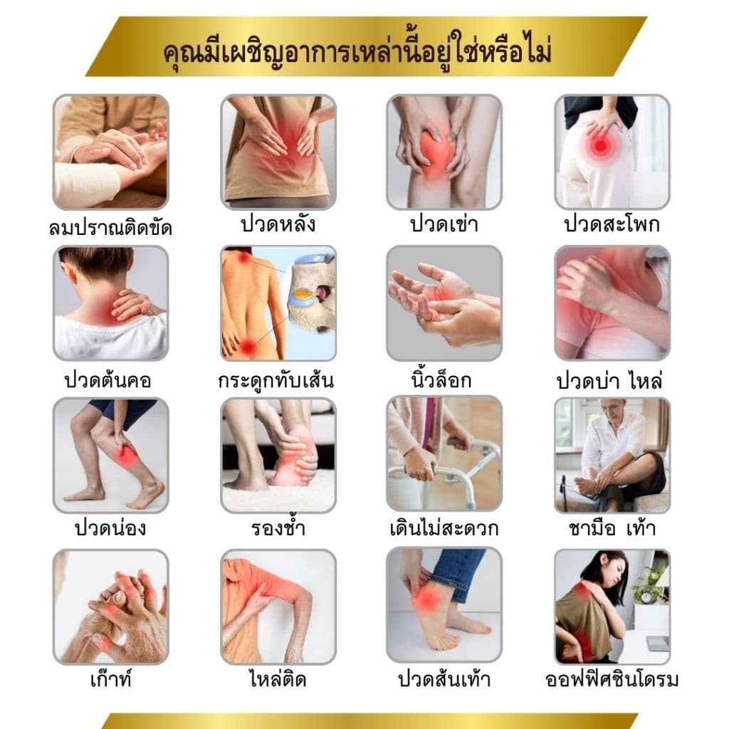 ชุด 6 กล่อง อาหารเสริมสมุนไพรจีน ตรา ซึงเถี่ย บำรุงเส้นเอ้น เข่า ข้อ กระดูกทับเส้น รูปที่ 3