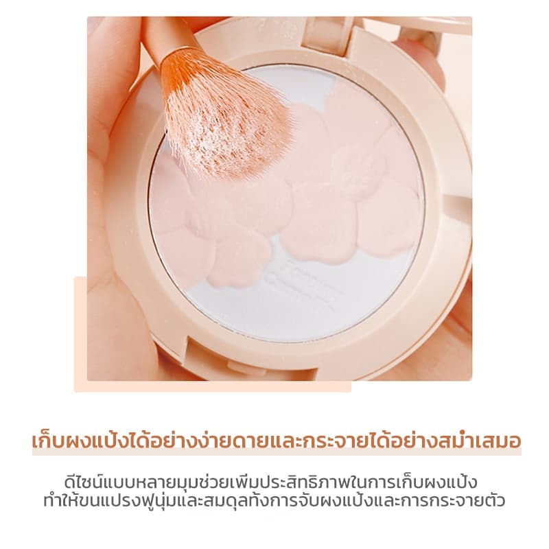 XIXI ชุดแปรงแต่งหน้า 3 ชิ้น แปรงปัดบลัช แปรงอายแชโดว์ แปรงเบลนด์ ขน พกพาสะดวก อุปกรณ์สวยสาว รูปที่ 6