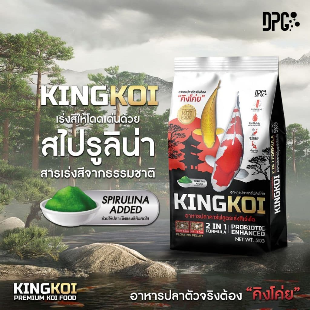 5KG. KING KOI 2IN1 อาหารปลาคาร์ฟ เร่งโตเร่งสีด้วยสาหร่ายสไปรูลิน่า รูปที่ 2