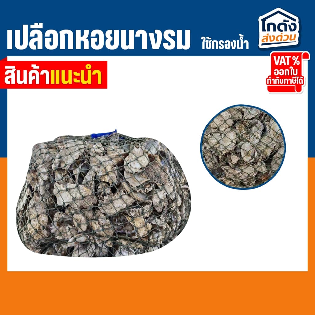 เปลือกหอยนางรม 6 kg.ใส่ถุงตาข่ายอวนเขียว พร้อมใช้งาน รูปที่ 3