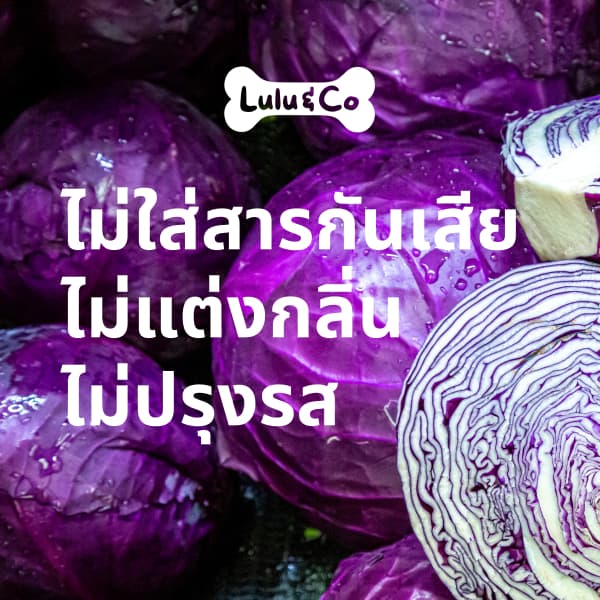 Vegan Medley ขนมมังสวิรัติ 3 สี ทำจากผักผลไม้สำหรับสุนัข ขนมหมา 50/100g Vegan Dehydrated Dog Treat by Lulu & Co รูปที่ 5
