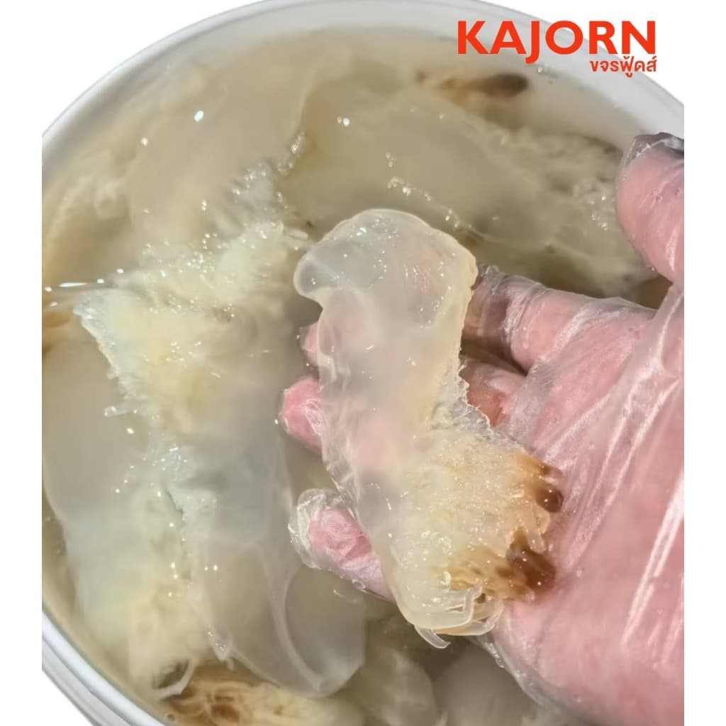 ขาแมงกะพรุน KAJORN ขจรฟู้ดส์ รูปที่ 4