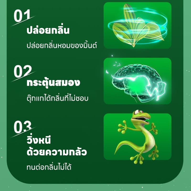 ซื้อ 2 แถม 1ยาไล่ตุ๊กแก ไล่ตุ๊กแก ปลอดสารพิษและมีประสิทธิภาพสูง สกัดจากพืช ยาไล่จิ้งจก ไล่จิ้งจก ต้องมีติดบ้าน รูปที่ 6