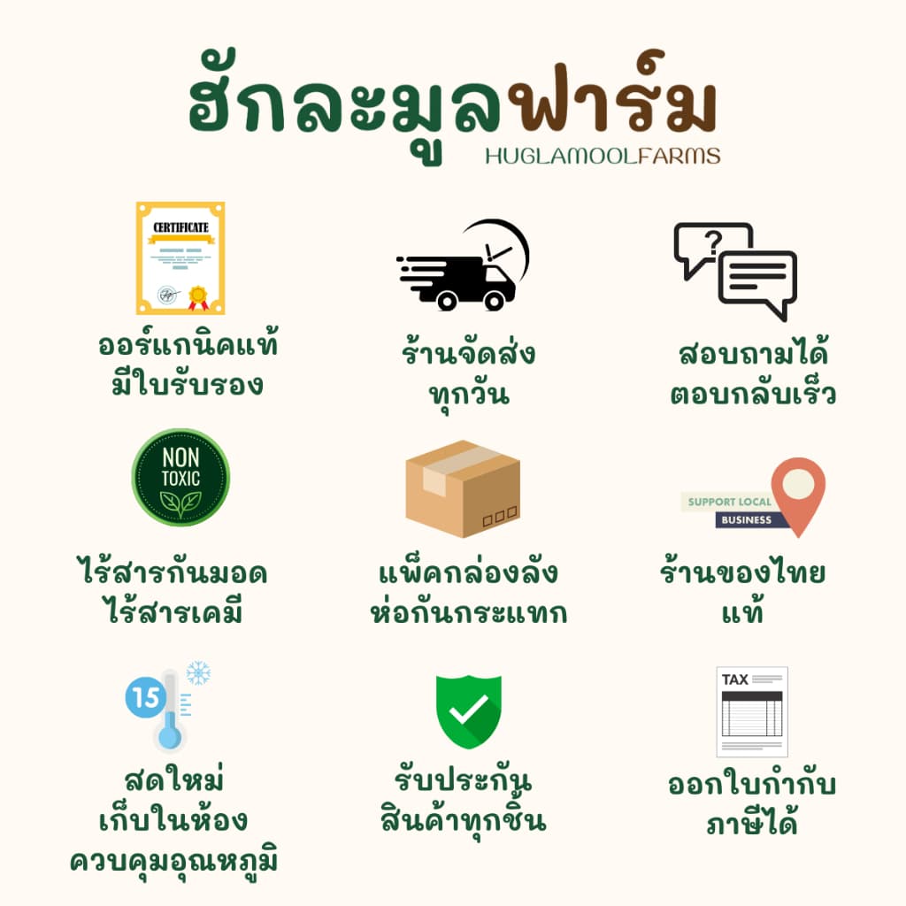แฟลกซ์สีน้ำตาล ออร์แกนิค คั่วสุกพร้อมทาน กระปุก200กรัม ตราฮักละมูลฟาร์ม คั่ว สุก Flaxseed เมล็ดแฟลกซ์ ลินิน รูปที่ 2