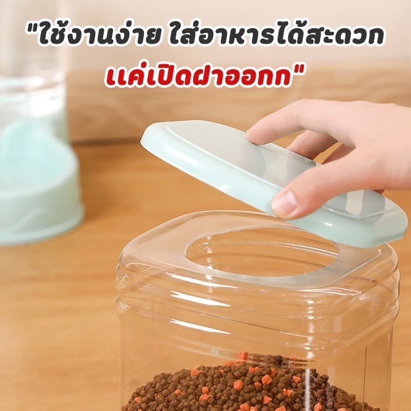 เครื่องให้อาหารแมวอัตโนมัติ ที่ให้อาหารอัตโนมัติ เครื่องให้อาหาร ชามข้าว ชามอาหาร หมา แมว อัตโนมัติ รูปที่ 9