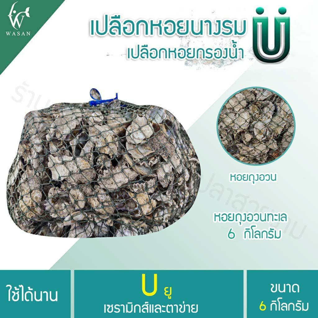 เปลือกหอยนางรม 6 kg.ใส่ถุงตาข่ายอวนเขียว พร้อมใช้งาน BY วสันต์อุปกรณ์ปลาสวยงาม รูปที่ 4