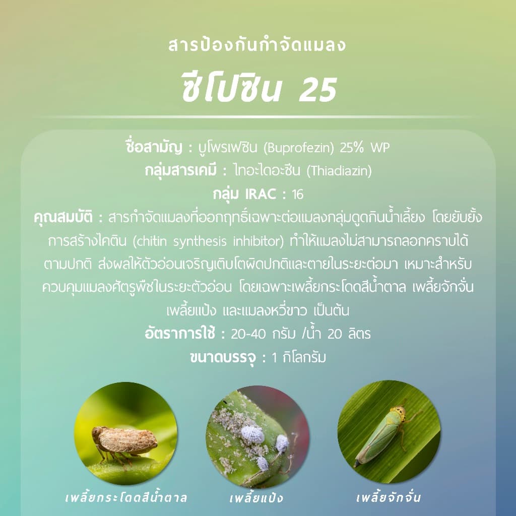 ซีโปซิน 25 1 กิโลกรัม รูปที่ 2