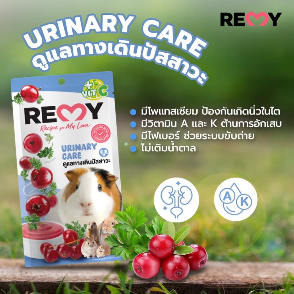 Remy เรมี่ ขนมเลียจากผักผลไม้ เสริมภูมิคุ้มกัน สำหรับกระต่ายและสัตว์ฟันแทะแฮมเตอร์ ชูก้าไกเดอร์แกสบี รูปที่ 7