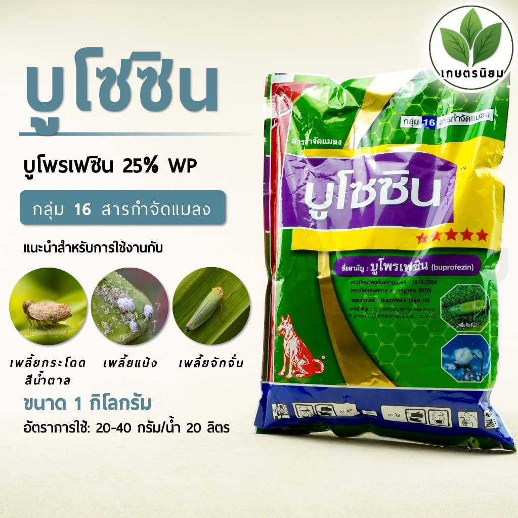 บูโซซิน 1 กิโลกรัม รูปที่ 1