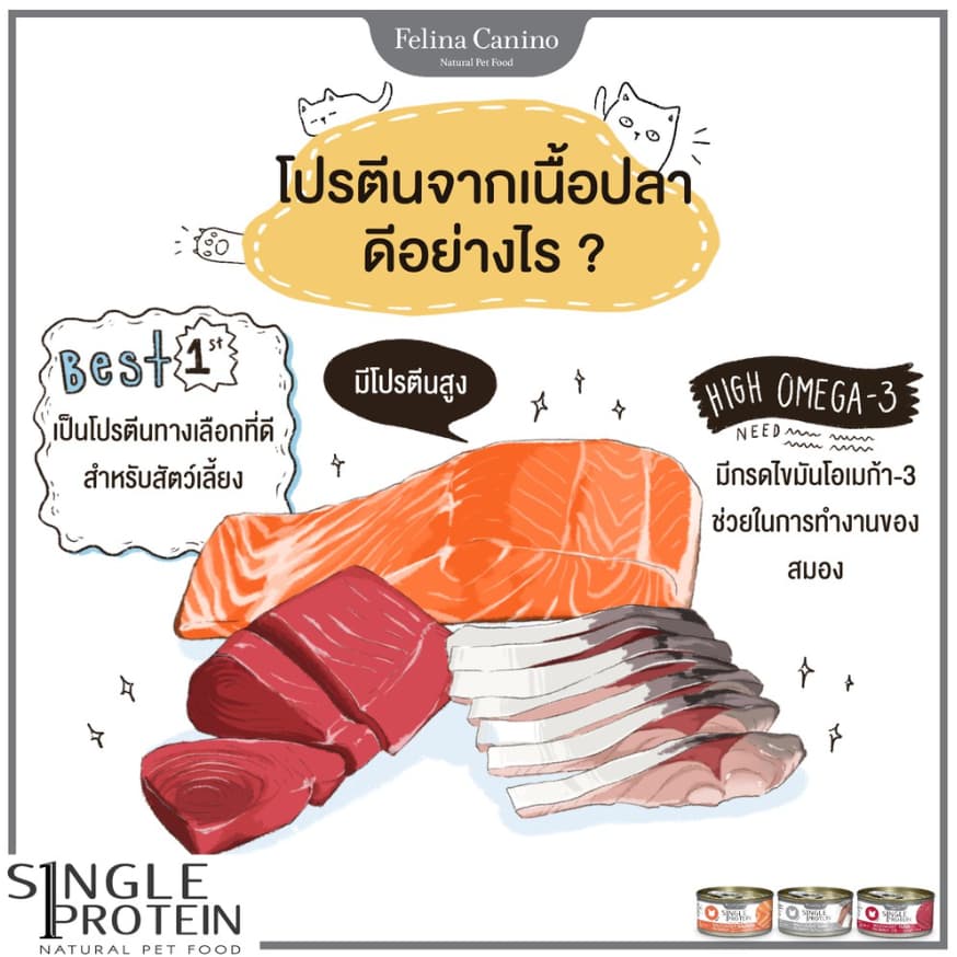 Felina Canino Premium Cat food อาหารเปียกแมว ขนาด70g รูปที่ 6