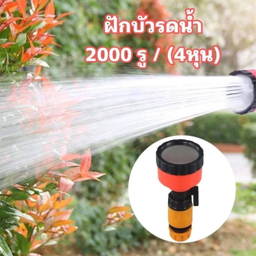 ฝักบัวรดน้ำ 1000 รู และ 2000 รู ขนาด 4หุน,5-6หุน ฝักบัวรดน้ำแคคตัส ฝักบัวรดน้ำบอนไซ ฝักบัวรดน้ำต้นไม้ รูปที่ 4