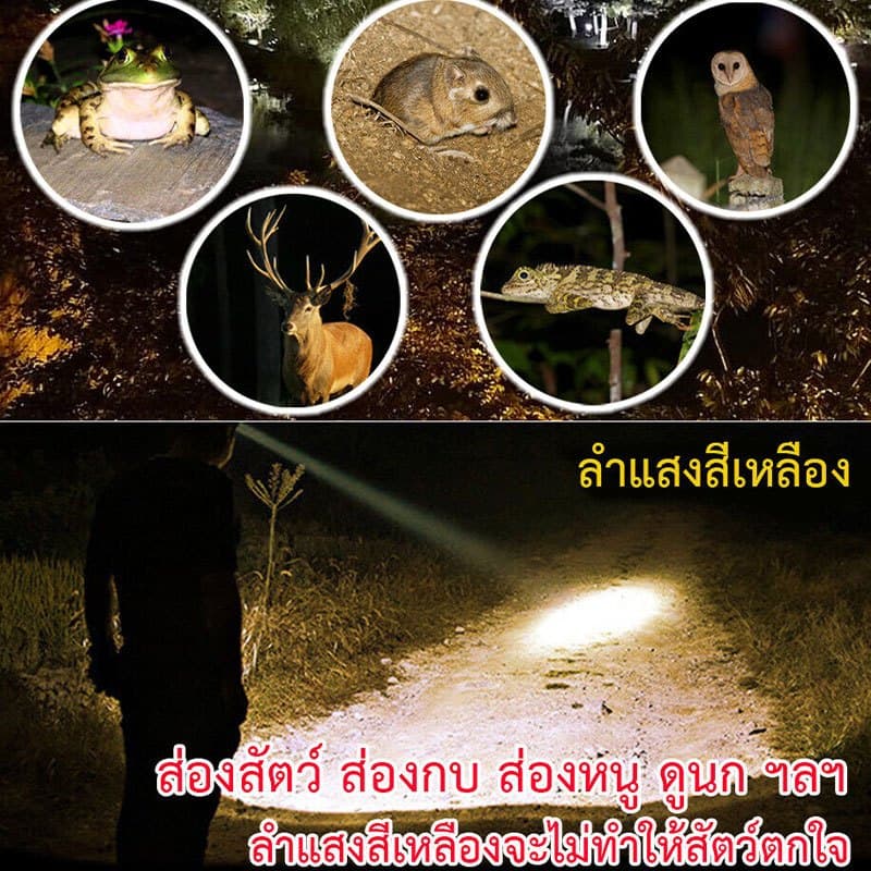 สว่างขึ้น8เท่าไฟฉายคาดหัวแท้LEDกันน้ำทนทาน ไฟฉายคาดหัว ไฟคาดหัวแรงสูง ไฟส่องกบ ไฟส่องสัตว์ ไฟฉายแรงสูง ไฟสายคาดหัว รูปที่ 3