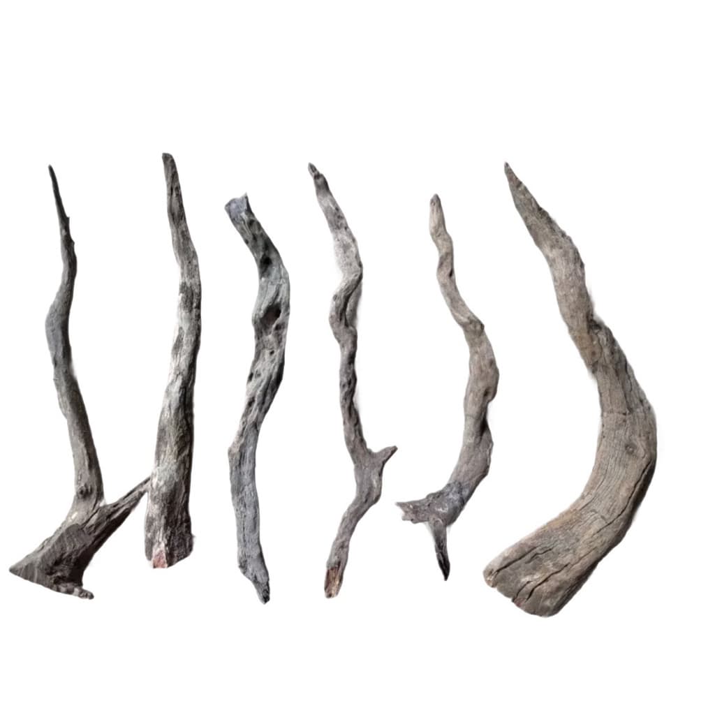 Aquarium Driftwood ราก กิ่ง ขอนไม้จมน้ำ สำหรับตกแต่งตู้ปลา งู diy พร๊อพถ่ายรูป รูปที่ 2