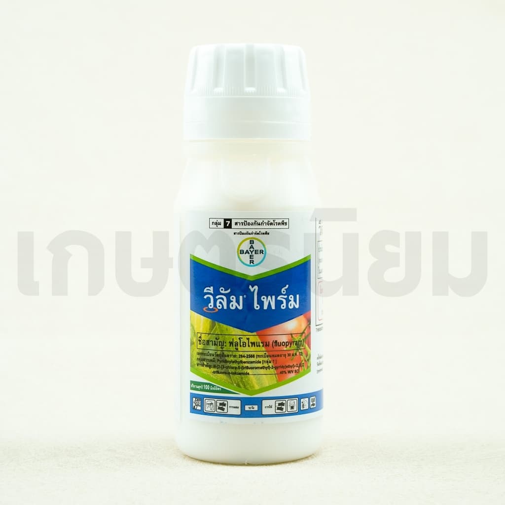 วีลัม ไพร์ม 100 มิลลิลิตร รูปที่ 3