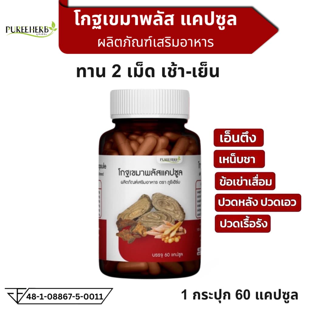 Puree Herb โกฐเขมา โกฐเขมาพลัสแคปซูล ภูรีเฮิร์บ ปวดข้อ ปวดเข่า ปวดหลัง ปวดเอว ปวดเมื่อย เส้นยึด เส้นตึง รูปที่ 2