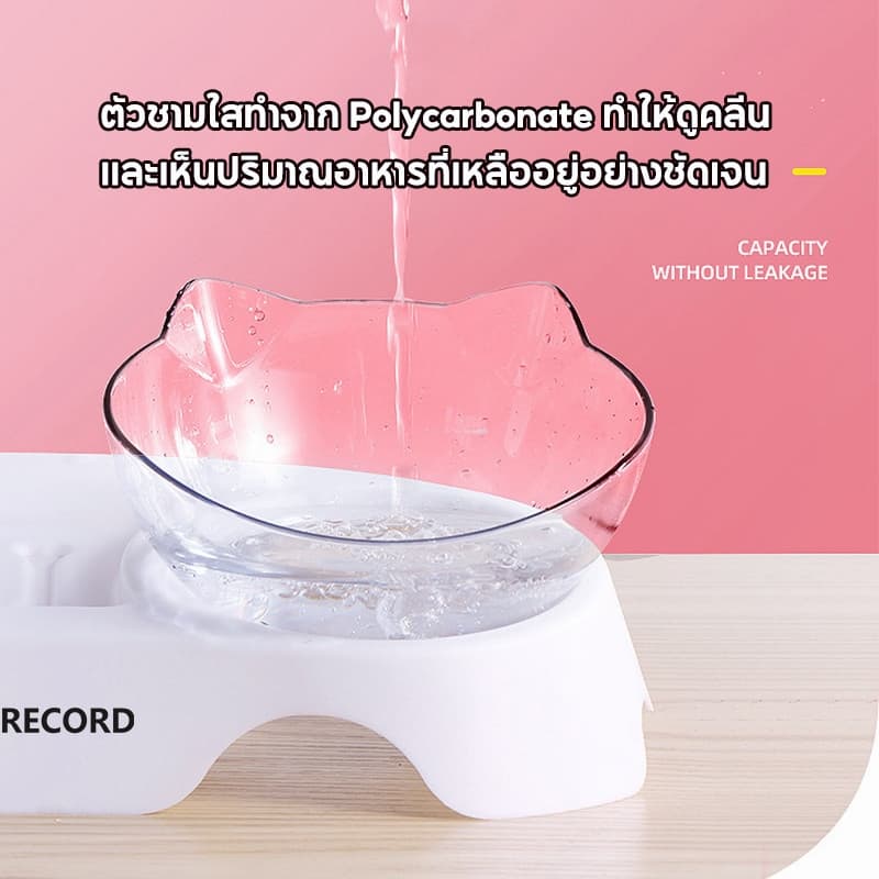 ชามอาหารแมวเอียง 15° ชามแมวพร้อมฐาน ชามใสอาหารสุนัข ถอดล้างง่าย สำหรับแมวหน้าสั้น รูปที่ 3