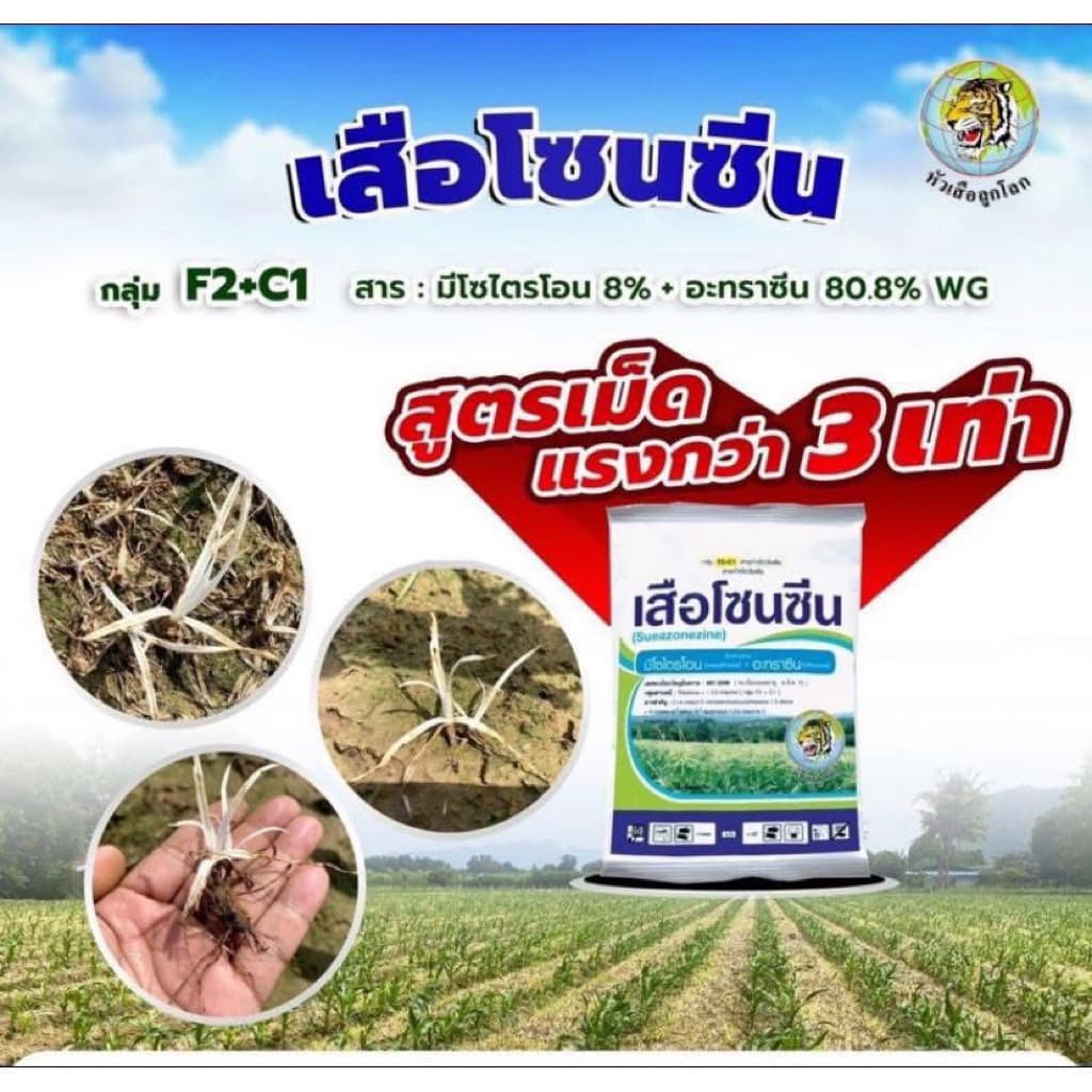 1 กิโลกรัม เสือโซนซีน สารกำจัดวัชพืช ใช้ได้ทั้งอ้อยและข้าวโพด รูปที่ 2