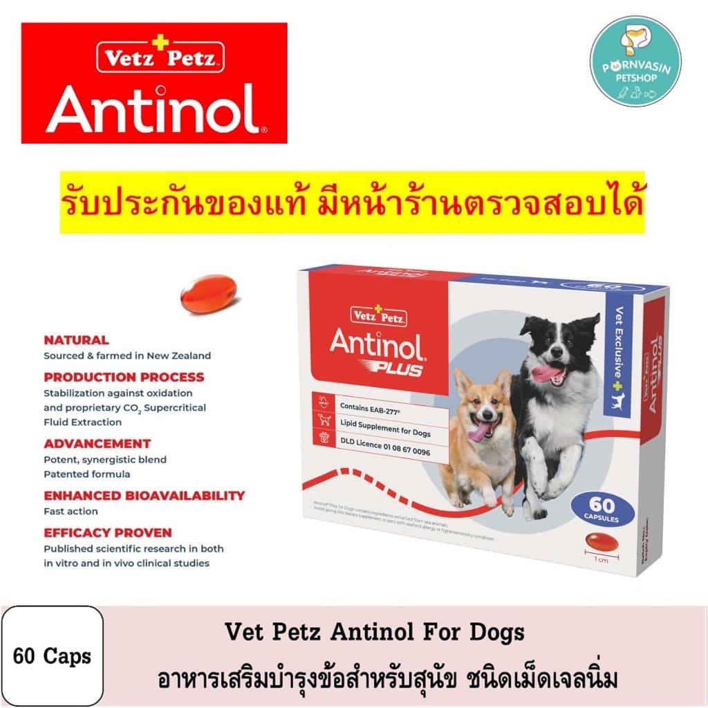Antinol Dogs อาหารเสริม บำรุงข้อ สำหรับสุนัข 60เม็ด รูปที่ 1