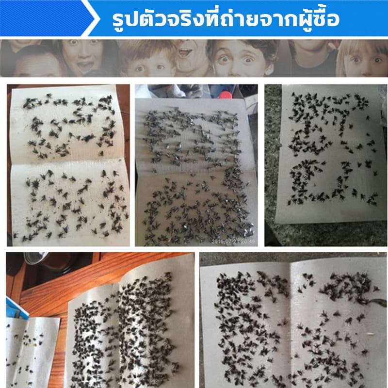 กาวดักแมลงวัน ที่ติดแมลงวัน กาวดักแมลงวัน100 กาวดักแมงวัน แผ่นดักแมลงวัน ดักแมลงวัน ที่ดักแมลงวัน ใช้งานง่าย กาวเต็มแผ่น รูปที่ 4