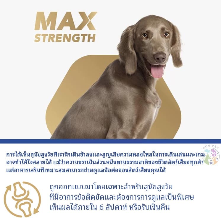 YuMOVE Senior Max Strength สูตรแรงที่สุดสำหรับสุนัขสูงวัย 120 เม็ด จุใจ ประหยัดค่ารักษาระยะยาว รูปที่ 8