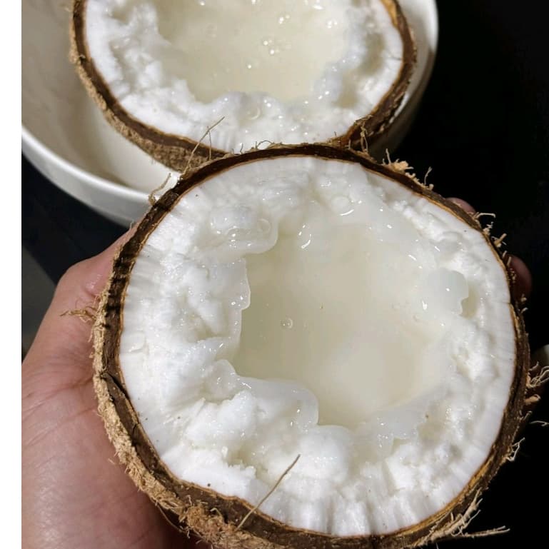 มะพร้าวกะทิ น้ำข้น เนื้อฟู *ส่งฟรี!* ***ต้องอ่านรายละเอียดก่อนสั่ง***